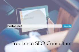 independent seo consultant