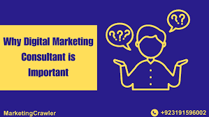 seo and digital marketing consultant