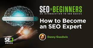 seo expert