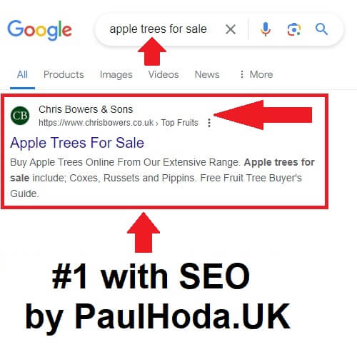 google penalty consultant