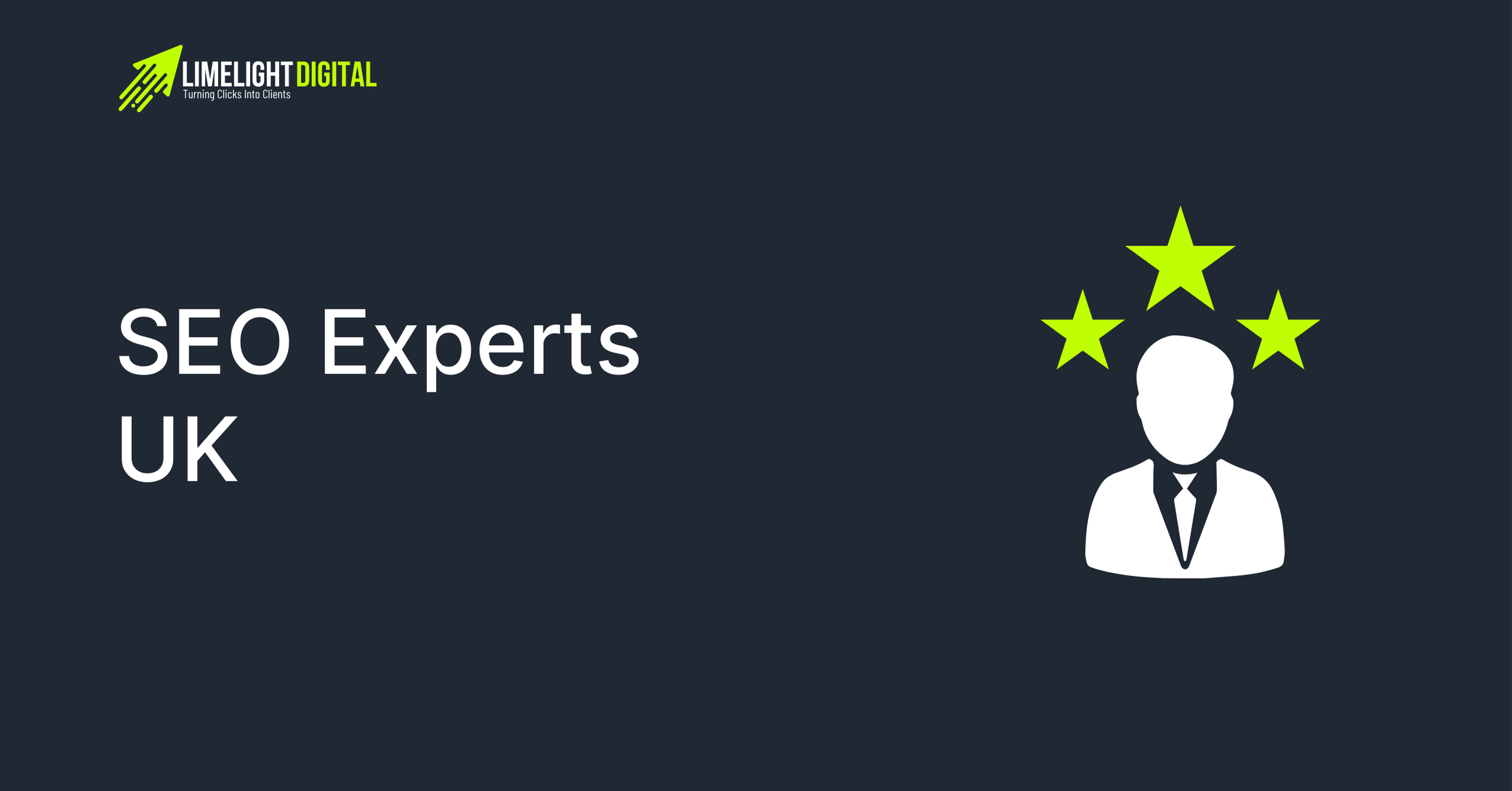 experienced seo consultant