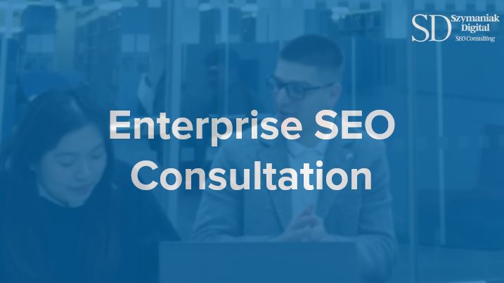 seo sem consultant