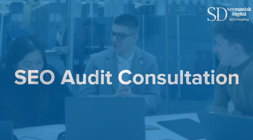 technical seo audit consultant