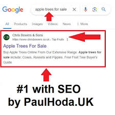 google seo consultant