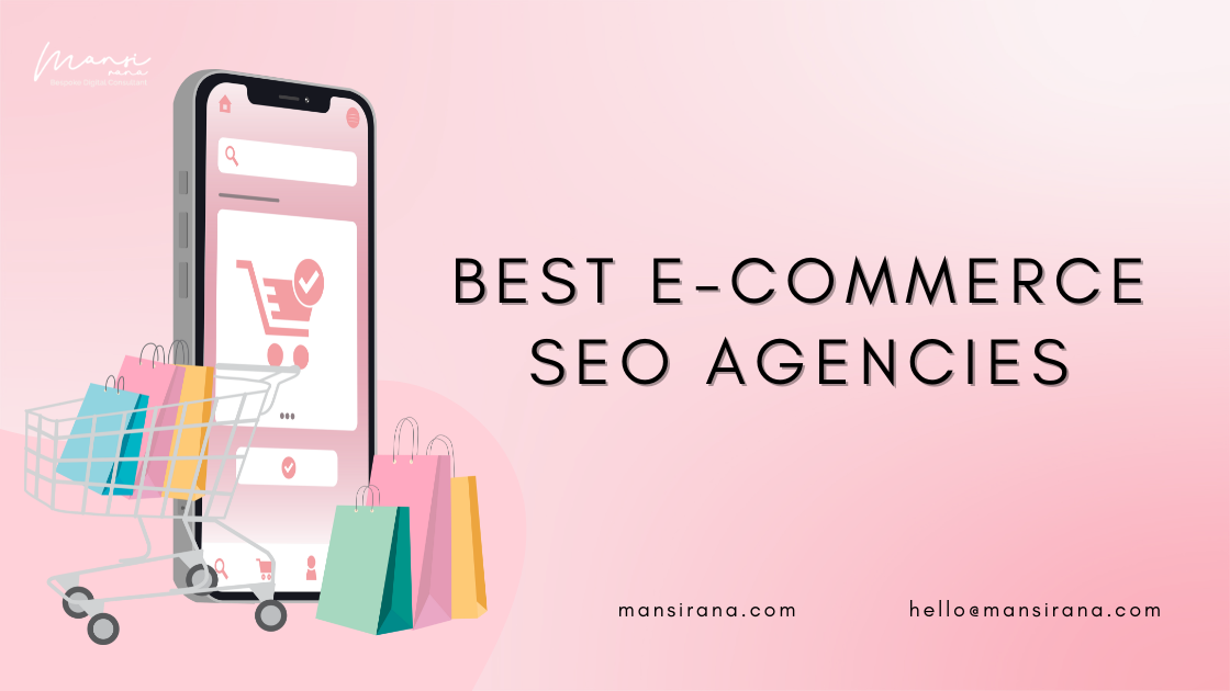 seo ecommerce consultant