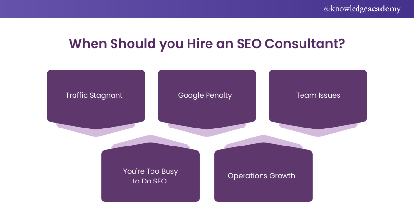 seo consultant meaning