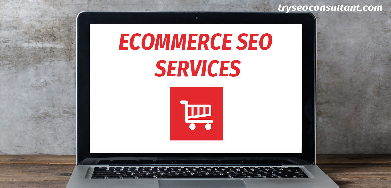 seo consulting for ecommerce
