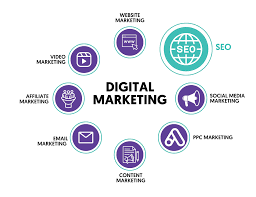 seo digital marketing expert